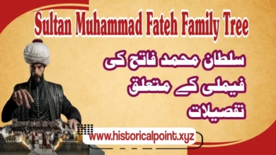 Sultan Muhammad Fateh Family Tree