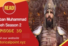 Sultan Muhammad Fateh Episode 30 in Urdu Subtitles